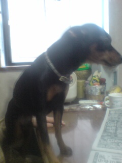 20090110134659.jpg