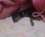20090204215150.jpg